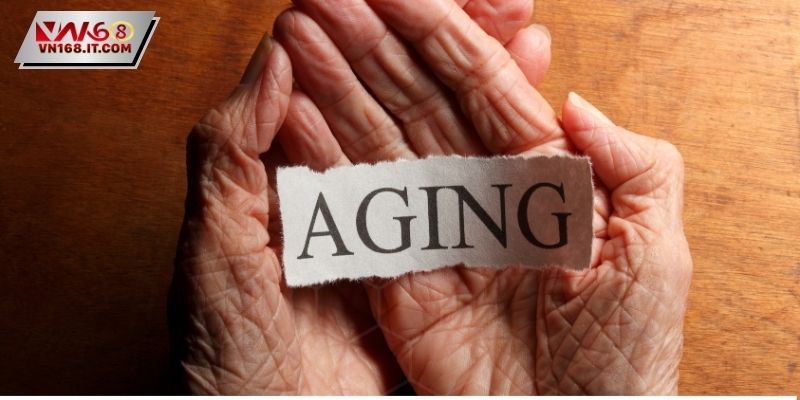 Điều khoản dịch vụ VN168 về độ tuổi cá cược